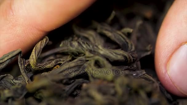 Mano masculina recoge hojas de té para la elaboración de la cerveza. Té negro chino. Té seco hojas de fondo. Macro. Hermosas hojas secas de té negro primer plano — Vídeos de Stock