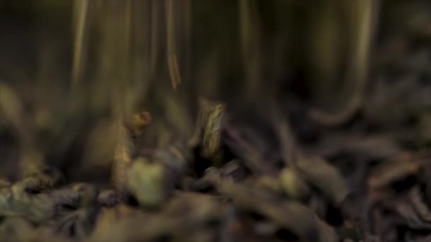 Kinesiskt svart te. Torkade te blad bakgrund. Makro. Vackra teblad torkade svarta närbild — Stockvideo