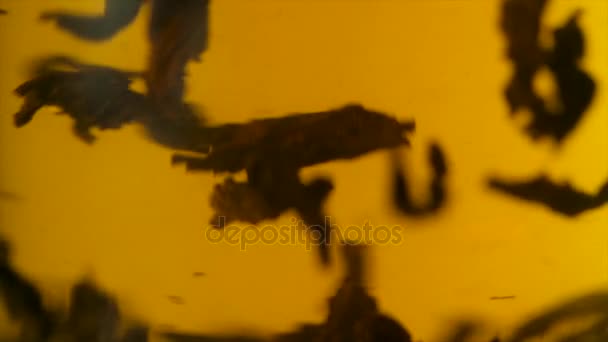 De l'eau bouillante coulant de la bouilloire dans une tasse de thé noir et de fruits mélangés. Eau bouillante versée dans une bouilloire avec du thé 