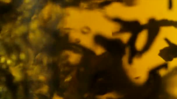 Thé flottant dans l'eau bouillie. Macro. L'eau bouillante versé dans une bouilloire avec du thé. De l'eau bouillante coulant de la bouilloire dans une tasse de thé noir et de fruits mélangés 