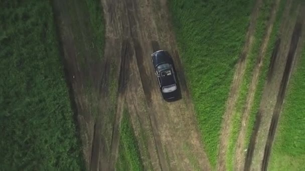 Vista aerea sulla macchina nera che attraversa il campo. Un filmato. Auto guida attraverso campi agricoli di girasoli — Video Stock