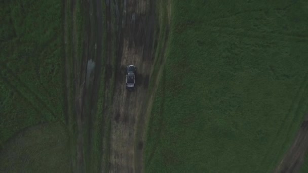 Vista aerea sulla macchina nera che attraversa il campo. Un filmato. Auto guida attraverso campi agricoli di girasoli — Video Stock