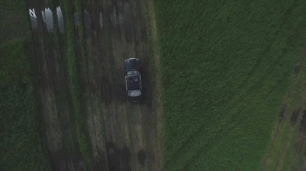 Aerial view on black car driving through the field. Footage. Car driving through agricultural fields of sunflowers