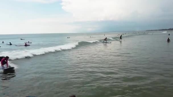 People surf on the waves. Beautiful beach on a hot day filled with people riding boards on the waves. The concept of freedom — Stock Video