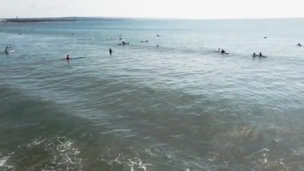 Los surfistas felices montan la ola oceánica y sonríen. Vídeo. Día soleado perfecto, agua cristalina e isla tropical. Los surfistas profesionales viajan en ola azul. Surf de invierno en el océano. Antena — Vídeo de stock