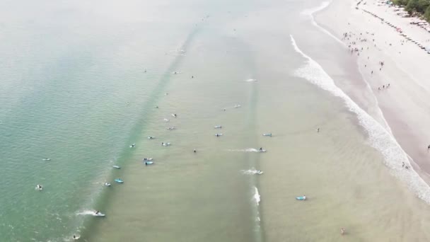 冲浪者一起在蓝色的海洋开始冲浪, 在一个阳光明媚的日子里, 在一个活跃的运动假期, 穿着氯丁橡胶套装玩得很开心。视频 — 图库视频影像