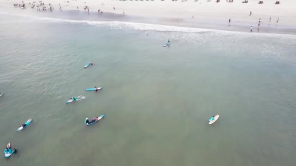 Szörfösök kezdve a szörfözés utazás együtt a kék óceán, szórakozás közben egy napfényes nap, egy aktív sport nyaralni, visel neoprén ruhák. Videóinak — Stock videók