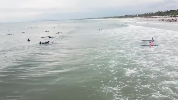 Surfers beginnen een surfen rit samen in de blauwe oceaan, plezier tijdens een zonnige dag op een vakantie van actieve sporten, het dragen van neopreen pakken. Video — Stockvideo