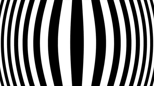 Animation black and white stripes warp space. Abstract animation of black and white stripes. Looped footage — Stock Video