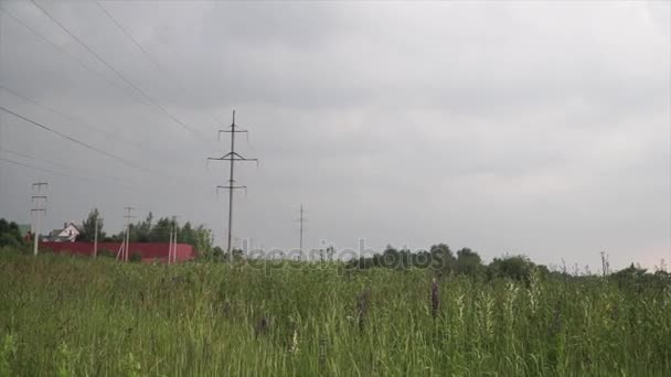 田舎の風景です。クリップ。高い草、木、周り家近くに立ちます。憂鬱な天気 — ストック動画
