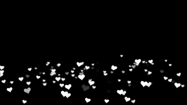 Witte Valentines Love Hearts zwarte achtergrond. Computer ontworpen animatie. Animatie harten met ruimte voor tekst op een zwarte achtergrond — Stockvideo