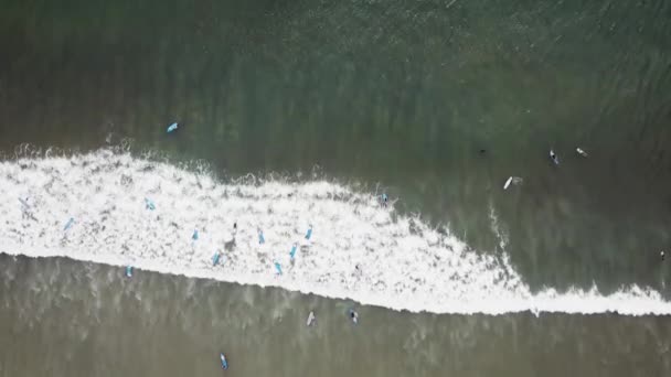 Luchtfoto van Surfer zwemmen aan boord in de buurt van grote blauwe oceaan Golf. Drone zicht op een heleboel surfers golven wachten. Een luchtfoto van surfers die wachten op een golf in de Oceaan op een heldere dag — Stockvideo