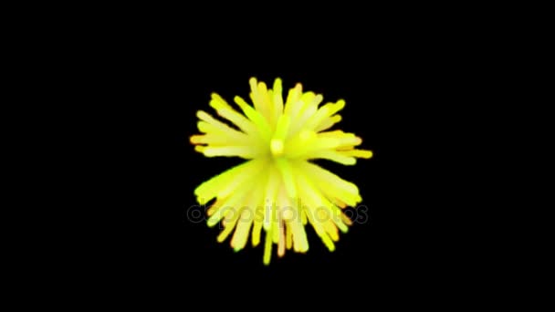 Explosion de feu réaliste éclatant sur un fond noir. Explosion de couleur et jaune sur fond noir 