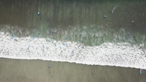 Letecký pohled surfaři čekají vlnu v oceánu za jasného dne. Letecký pohled surfař na obrovské vlny Indického oceánu. Surfaři na pláž nejlépe zobrazit — Stock video