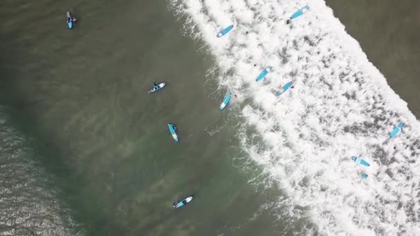 Een luchtfoto van surfers die wachten op een golf in de Oceaan op een heldere dag. Luchtfoto van surfer op de enorme golf van de Indische Oceaan. Surfers op de top van strand weergeven — Stockvideo