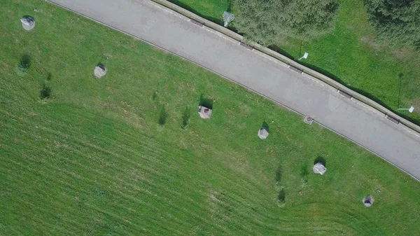 Green Park och dess vidsträckta gräsmattor på en solig vårdag. Klipp. Flygbilder från flygande drönare en stadspark med promenader sökväg och grön zon träd. Cyklist i parken — Stockfoto