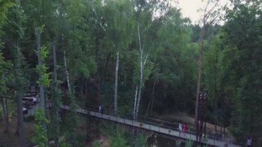 Çam ormanı üst kısımları üzerinde güzel manzara. Küçük. Havadan görünümü. Yukarıdan