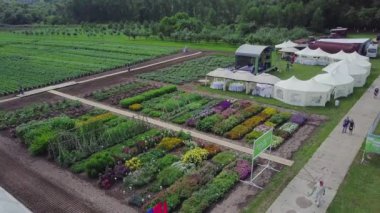 Çiçek alanının hava. Küçük. Üstten Görünüm yeşil alanlar ve çiçekler. Agro-endüstriyel kompleks hangi büyümek çiçek, sebze ve bitki örtüsü