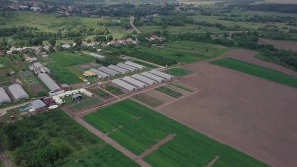 Construction of greenhouses in the field. Clip. Agriculture, agrotechnics of closed ground. Frameworks of greenhouses, top view — Stock Video