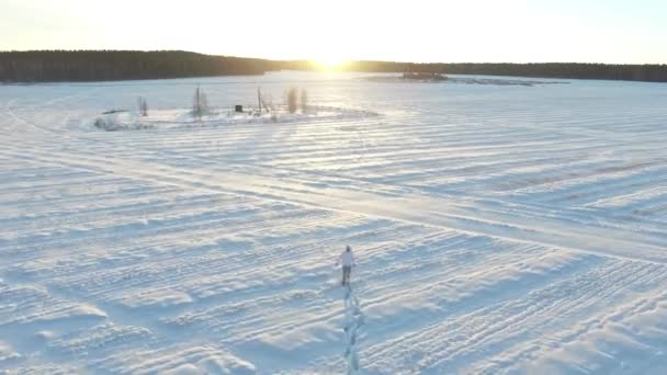 Téli mező. Felvételeket. Magányos ember a téli területén. Gyönyörű téli reggel. A mezőben az ember — Stock videók