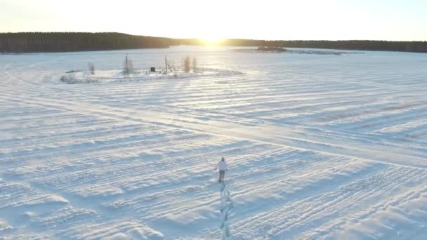 Winter veld. Beeldmateriaal. Eenzame man op het terrein in de winter. Pittoreske winterochtend. Man op het terrein — Stockvideo