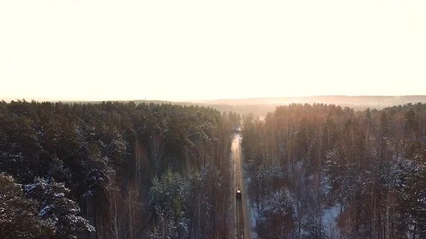 Vliegen boven de auto rijden door besneeuwde bos bij Gouden winter zonsopgang. Beeldmateriaal. Luchtfoto van bovenaf vliegen. Witte volgwagen bewegen op kronkelende weg in winter met sneeuw bomen bos — Stockfoto