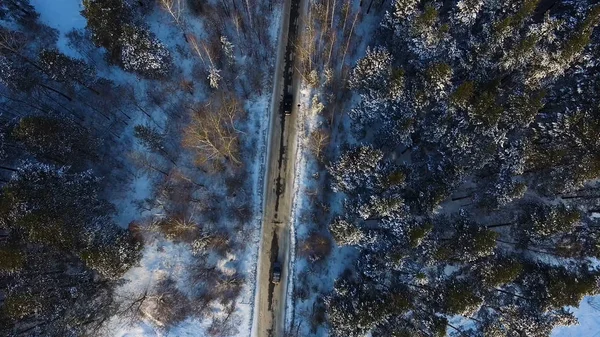 Flygande ovanför den bil som kör genom snöiga skogen på gyllene vinter soluppgång. Footage. Flygfoto flyger från ovan. Följande vit bil flyttar på slingrande väg i vinter skog med snö träd — Stockfoto