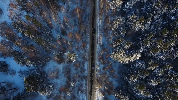Latające nad samochodem przez zaśnieżony Las zima golden Sunrise. Materiał filmowy. Latanie z góry widok z lotu ptaka. Następujące biały samochód przejściem kręta droga w lesie Zimą śnieg drzew — Zdjęcie stockowe