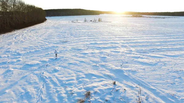 Luchtfoto op man lopen in de taiga of sneeuw veld. Beeldmateriaal. Siberië, eindeloze Taiga. Een man skiën dwaalt door het bos in diepe sneeuw. — Stockfoto