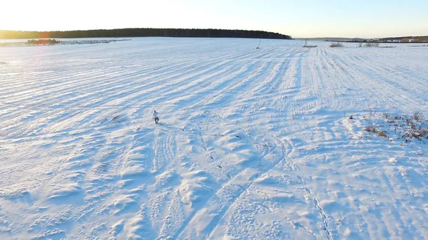 Luchtfoto op Man in sportkleding wandelen in een gebied van sneeuw. achterwaartse antenne man wandelen met sneeuwschoenen op sneeuw bedekt gebied in de buurt van dennenbossen bos in de winter. — Stockfoto