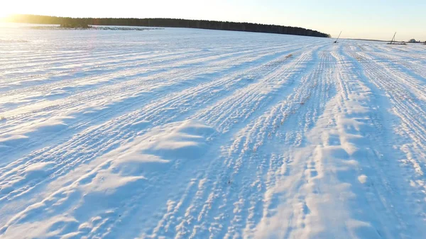 Luchtfoto op Man in sportkleding wandelen in een gebied van sneeuw. achterwaartse antenne man wandelen met sneeuwschoenen op sneeuw bedekt gebied in de buurt van dennenbossen bos in de winter. — Stockfoto