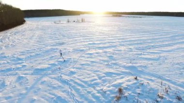 Havadan görünümü üzerinde Tayga veya kar alanında yürüyen adam. Görüntüleri. Sibirya, sonsuz Tayga. Ormandaki derin karda Kayak bir adam geziniyor.