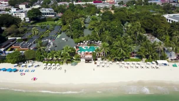 Luchtfoto op luxe huis op het strand met palmbomen en een zwembad. Bovenaanzicht van huizen op het palm beach, het zwembad en de boot in de buurt van een houten pier. Top luchtfoto landschap. — Stockvideo
