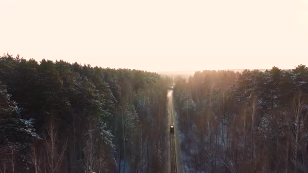 Vliegen boven de auto rijden door besneeuwde bos bij Gouden winter zonsopgang. Beeldmateriaal. Luchtfoto van bovenaf vliegen. Witte volgwagen bewegen op kronkelende weg in winter met sneeuw bomen bos — Stockvideo