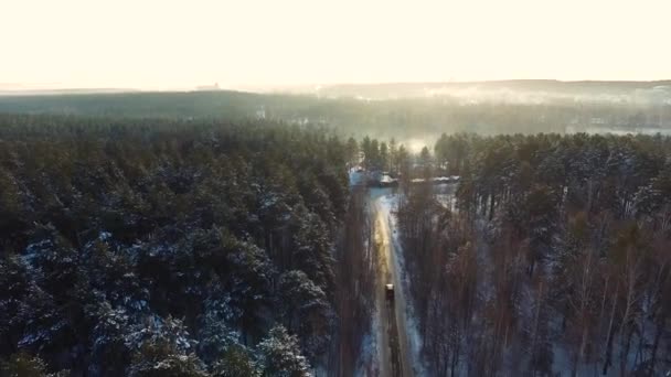 Автомобільні прогулянки по дорозі в засніженому лісі. Кадри. Промені ранкового сонця. Вид з повітря. Вид з повітря на засніжений ліс з високими соснами і дорогу з автомобілем взимку. Вид зверху на зимову дорогу — стокове відео