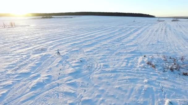 雪のフィールドを歩くスポーツ ウエアで男の空中写真。スノーシューで雪の上を歩いて男を下位のアンテナは、冬のパイン フォレスト森の近くにフィールドを覆われて. — ストック動画