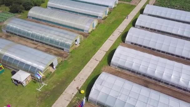 田舎の上空撮。農場労働者は、野菜や果物、ハーブを育てるための準備します。クリップ。耕栽培のフィールド、緑の芝生の様子野菜畑の鳥の目のビュー. — ストック動画