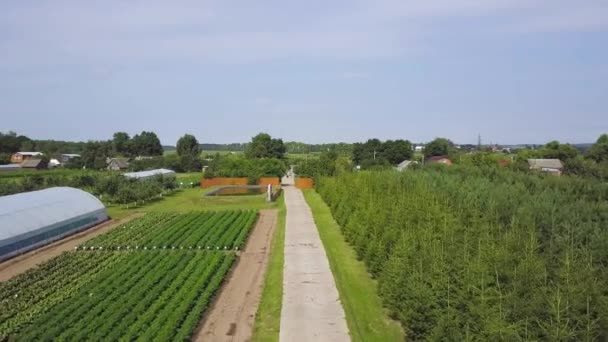 Aerial view above countryside. Farm workers getting ready for growing vegetables, fruits and herbs. Clip. A scene of plowed, cultivated fields, green grass. Birds Eye View of the vegetable Fields. — Stock Video