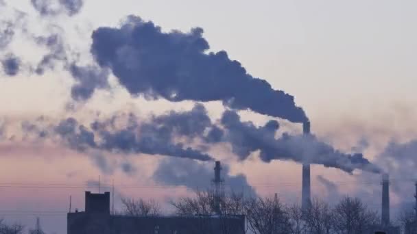 Roken fabriek schoorstenen. Milieuprobleem van verontreiniging van het milieu en de lucht in de grote steden. Weergave van grote plant met pijpen. Timelapse — Stockvideo