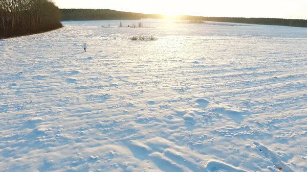 Зимове поле. Кадри. Самотня людина в полі взимку. Мальовничий зимовий ранок. Людина в полі — стокове фото