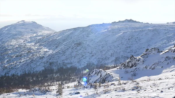 Foresta invernale in montagna. Un video. Neve sugli alberi. Paesaggio natalizio. Montagne invernali. Bellissimo paesaggio invernale con alberi innevati — Foto Stock