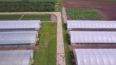 Marul üretim alanı ve sera hava tarım görünümünü. Küçük. Sera Üstten Görünüm