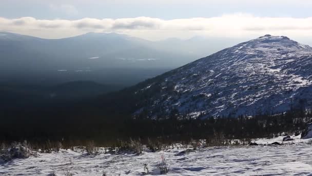 山の冬の森。ビデオ。木に雪が降る。クリスマスの風景です。冬の山。美しい冬の風景雪に覆われた木 — ストック動画