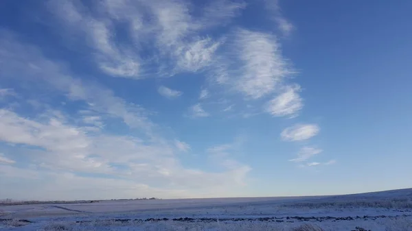 Дивовижне глибоке блакитне небо з круглими хмарами у формі пір'я на сухих луках - природний фон. Круглі хмари над трав'яним полем взимку — стокове фото