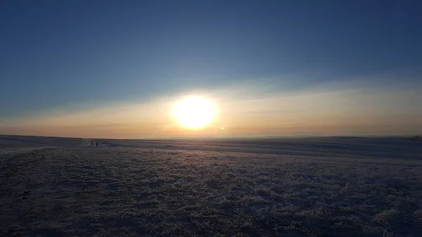 Inverno planta paisagem coberta de neve contra o fundo do pôr do sol. Crescimentos congelados contra o fundo de um campo nevado e um céu azul e sol — Fotografia de Stock