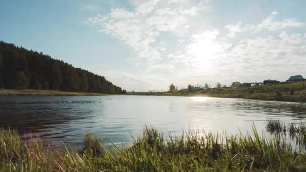 Sol sobre el río por la mañana. Vídeo. Césped verde cerca del río en el bosque. Puesta de sol sobre el agua. Composición natural. junto al río. Lago claro de montaña de verano con bosque — Vídeos de Stock