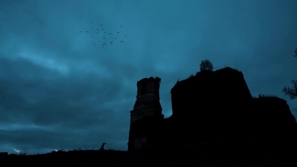 Мистический силуэт храма или замка против облачного неба и воронов, летающих в небе ночью. Видео. Большой старый каменный замок на скале во время сильного шторма и дождя. Пугающая церковь — стоковое видео