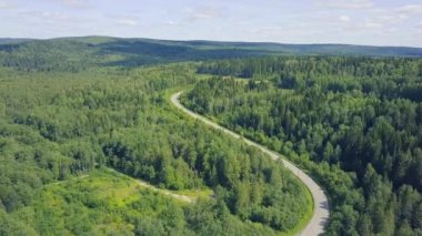 Bir yol çam ağacı orman tarafından çevrili sonbaharda hava görünümünü. Küçük. Ormandaki yolun Üstten Görünüm