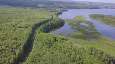Çam ağacı orman town yakınındaki çevrili güneşli Gölü üzerinden hava görünüm. Küçük. Güneşli yaz gün boyunca. Şehrin Orman Gölü Üstten Görünüm