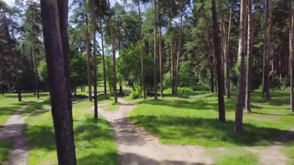 Bovenaanzicht van het pad tussen de bomen. Clip. Bovenaanzicht van het mooie Park met bomen in de zomer — Stockvideo